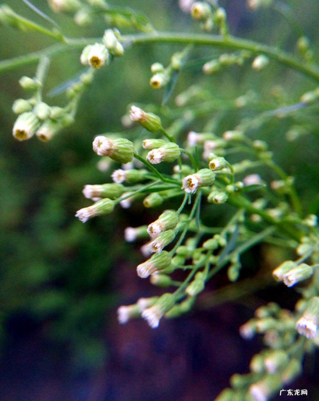 家中西南角风水代表什么 西南角地板裂开的风水好不好