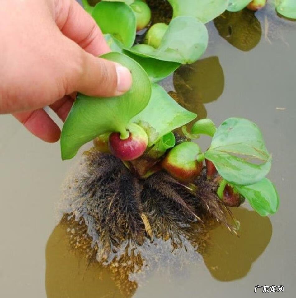 家中西南角风水代表什么 西南角地板裂开的风水好不好