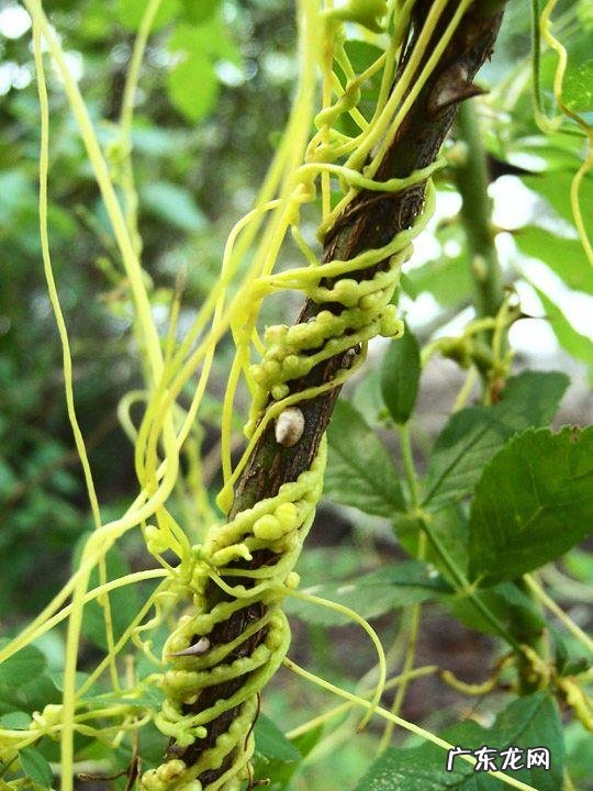 家中西南角风水代表什么 西南角地板裂开的风水好不好