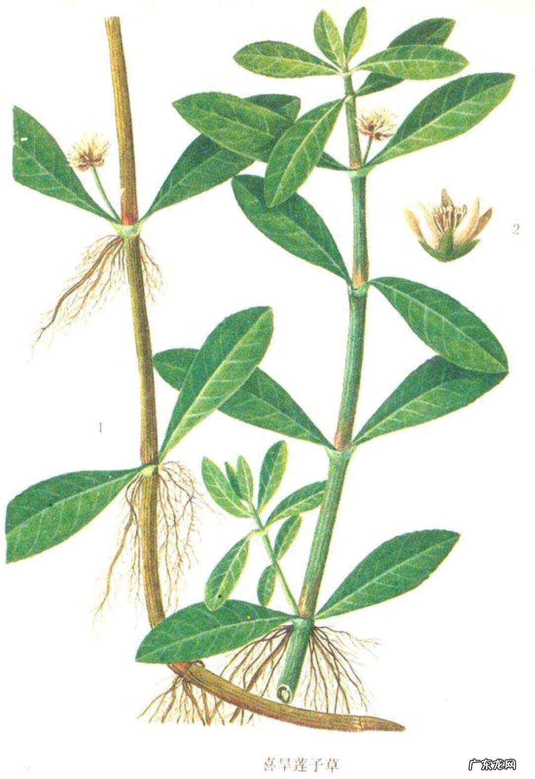 家中西南角风水代表什么 西南角地板裂开的风水好不好