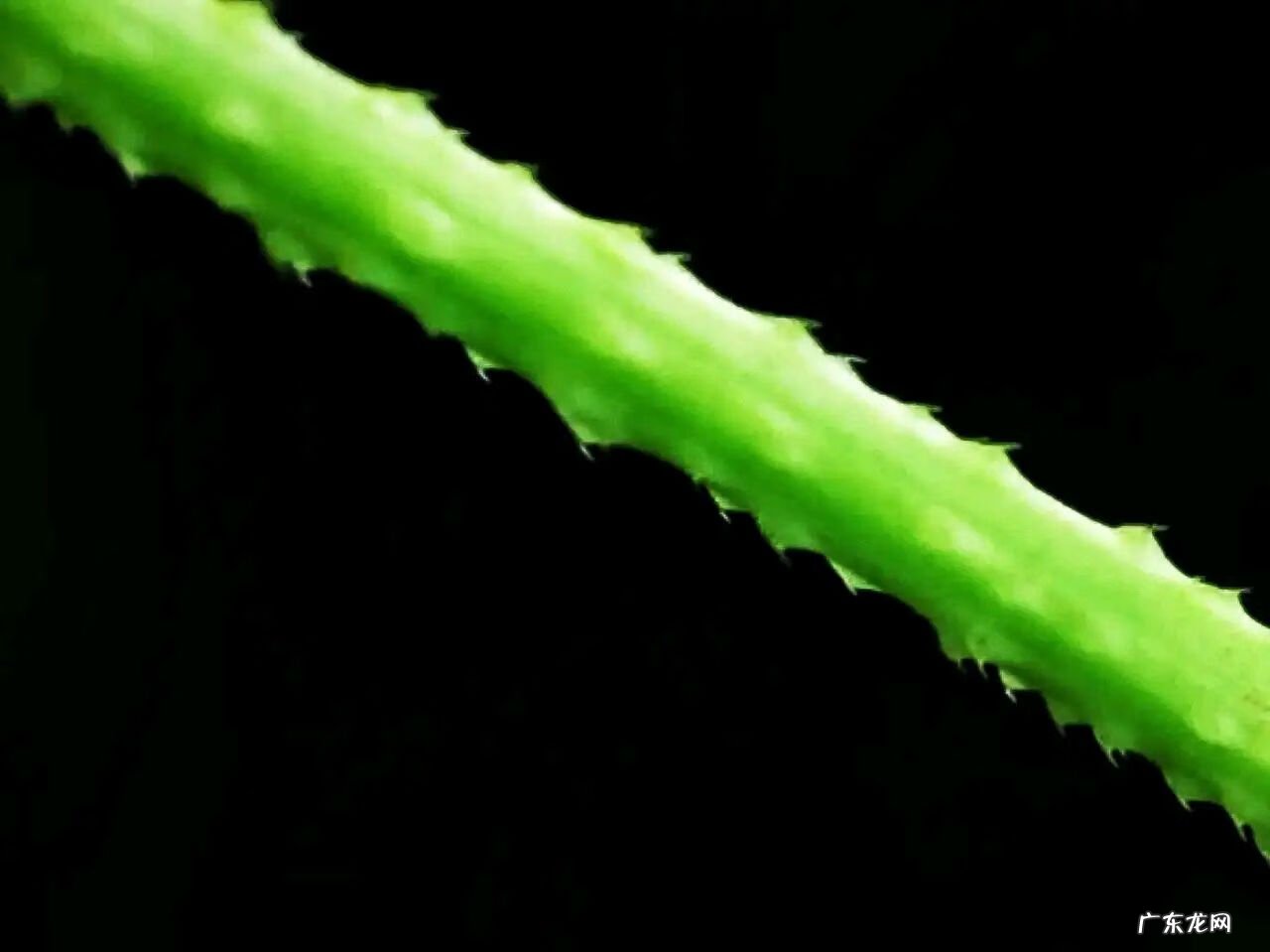 家中西南角风水代表什么 西南角地板裂开的风水好不好