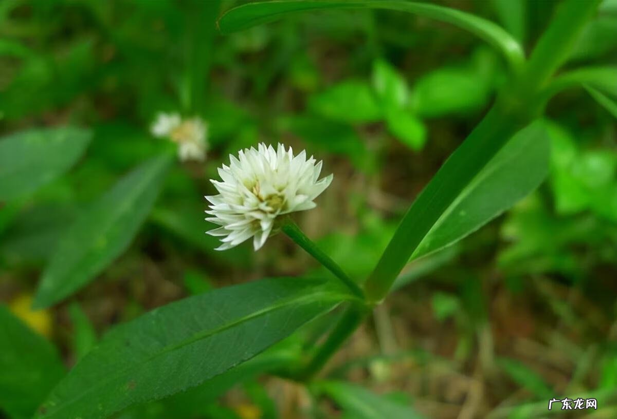 家中西南角风水代表什么 西南角地板裂开的风水好不好