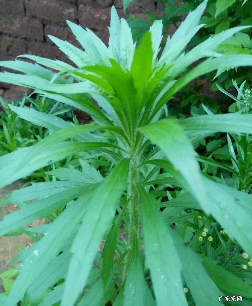 家中西南角风水代表什么 西南角地板裂开的风水好不好