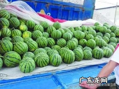 现在比较热门的生意 最新热门生意