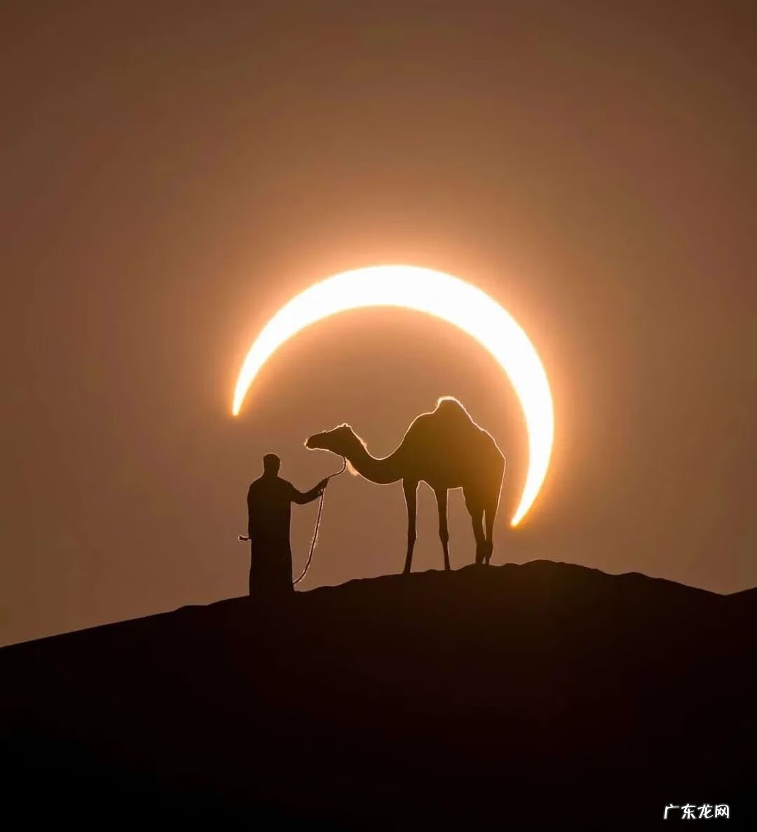 2020年图片大全好看 2020年的图片大全