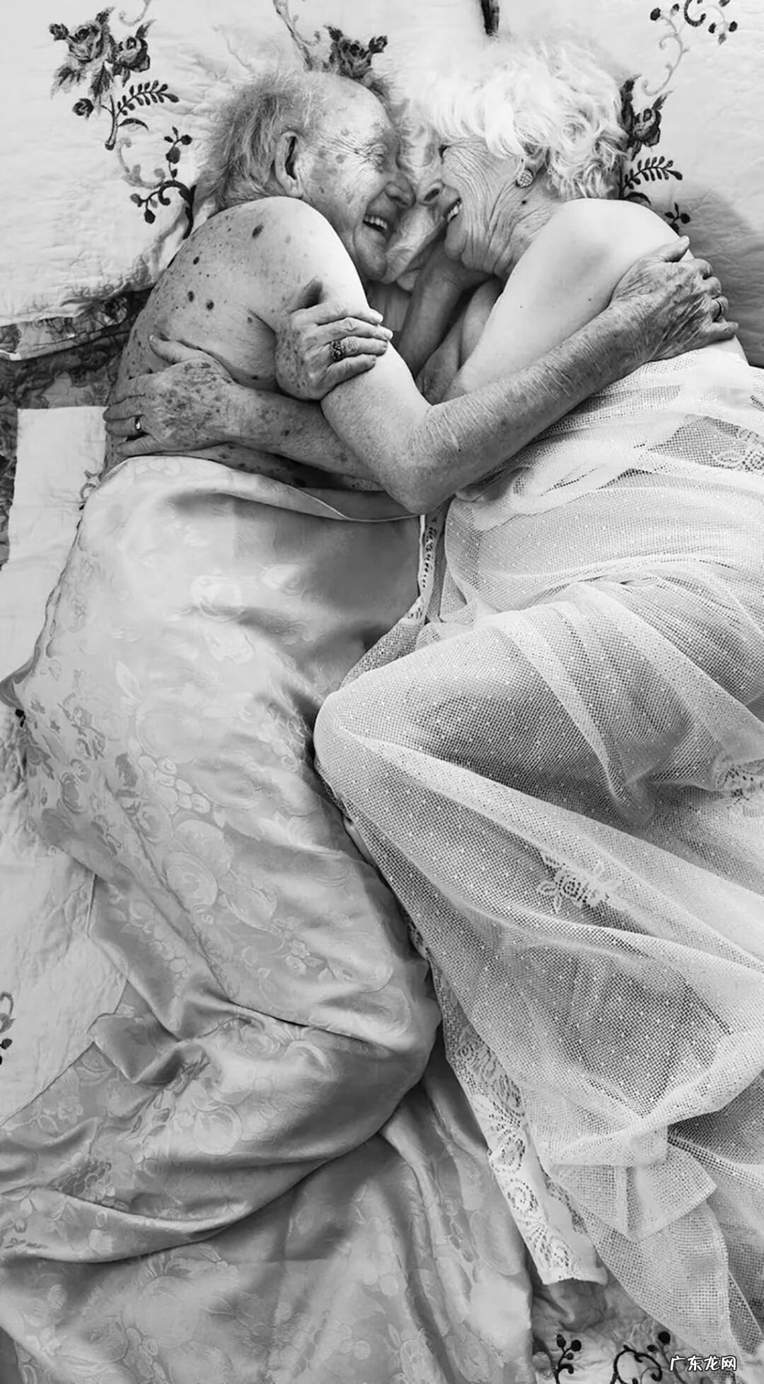 2020年图片大全好看 2020年的图片大全