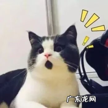 京东商城的电话是多少