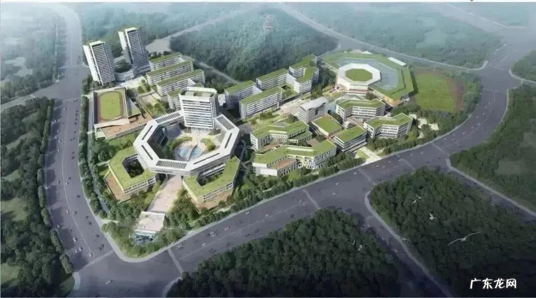 广东2012年高考分数线 2012年广东高考分数录取线