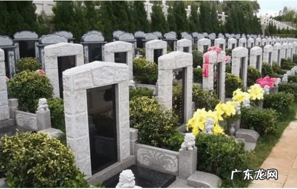 风水大师看坟头草电影是哪个 坟地 风水