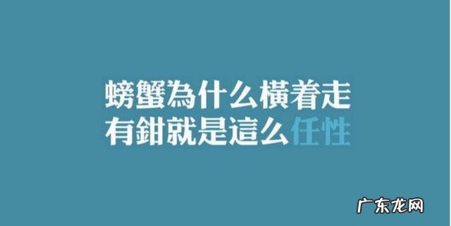 保时捷选配价格表音响 保时捷选配哪些最适合