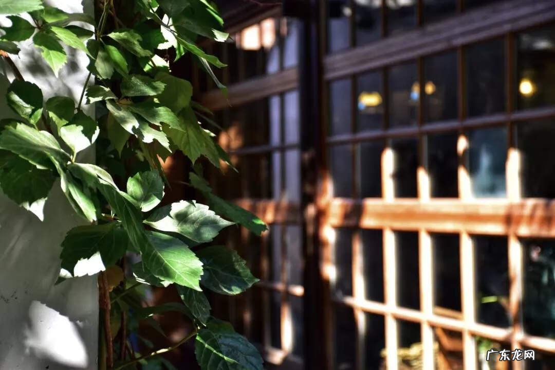 店铺朝西风水好不好 店门朝西南的店铺风水