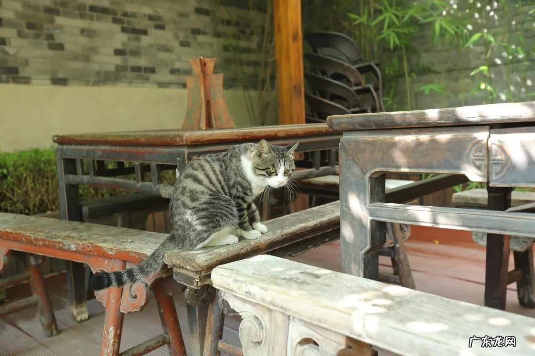 店铺朝西风水好不好 店门朝西南的店铺风水