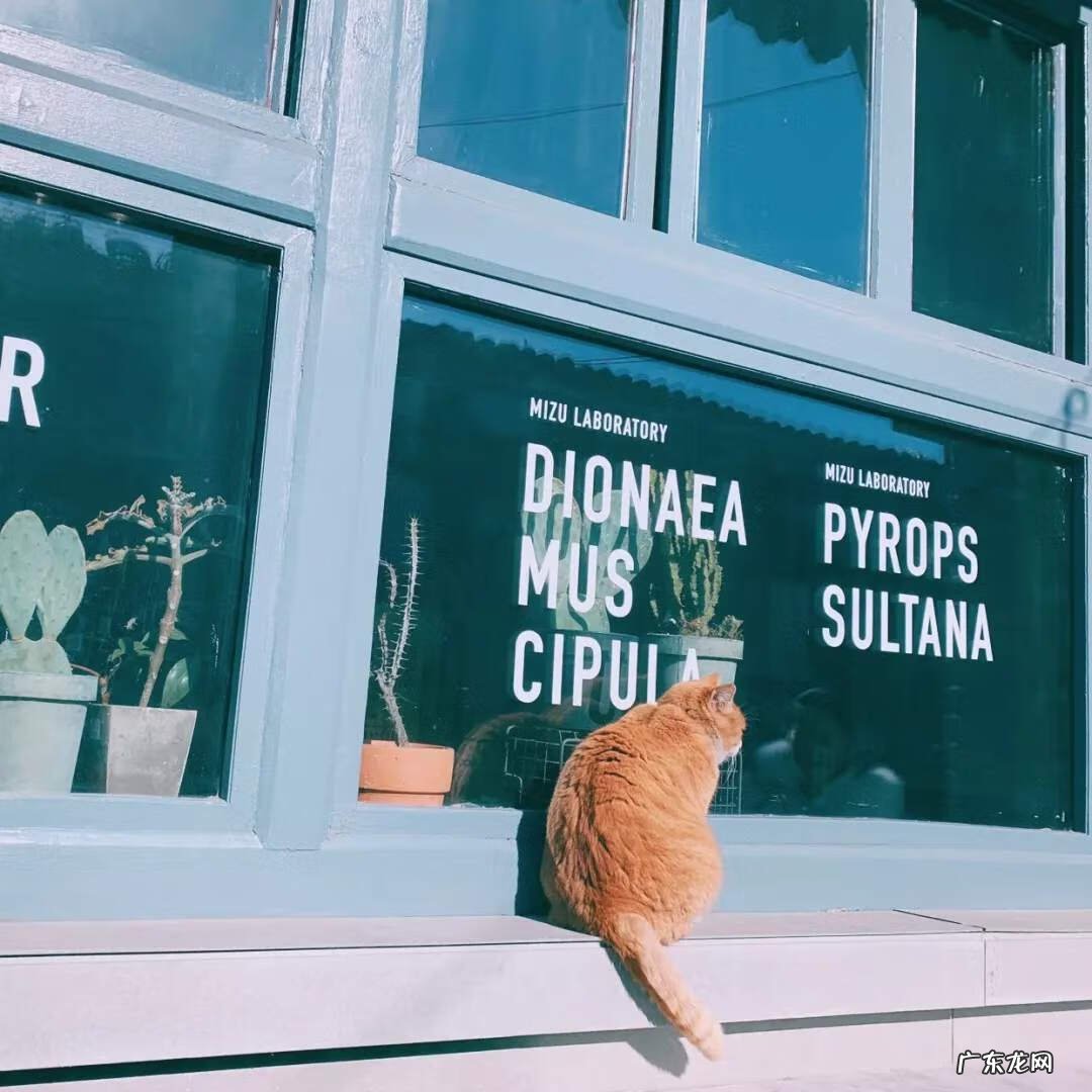 店铺朝西风水好不好 店门朝西南的店铺风水