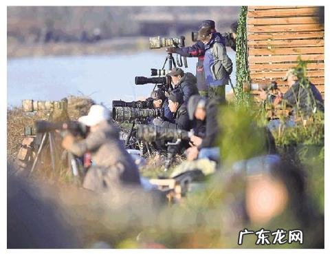 画中有鹤的风水禁忌 鹤地捉鱼风水故事图片