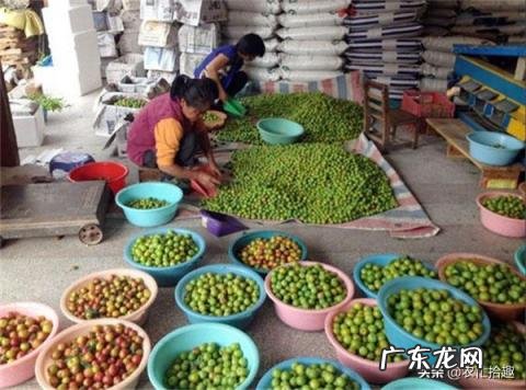 三月李几月份成熟 三月李好吃吗