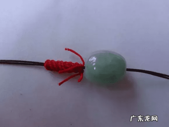 树祖金刚菩提 金刚菩提风水作用