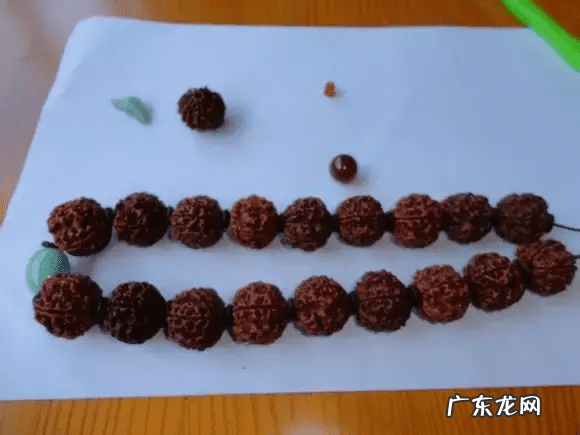 树祖金刚菩提 金刚菩提风水作用