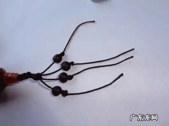 树祖金刚菩提 金刚菩提风水作用