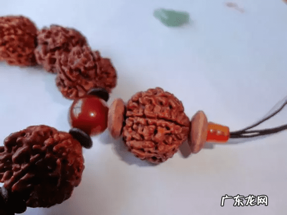 树祖金刚菩提 金刚菩提风水作用