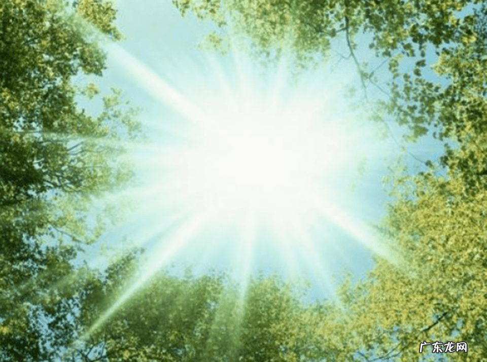 孕辰斑 妊娠斑图片