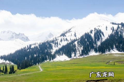 乌鲁木齐到伊犁怎么坐车怎么玩 乌鲁木齐到伊犁有多远