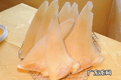 燕窝鱼翅是什么东西 鱼翅是怎么来的