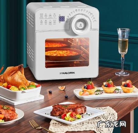 空气炸锅好用不好用 凯瑞客空气炸锅好用吗知乎