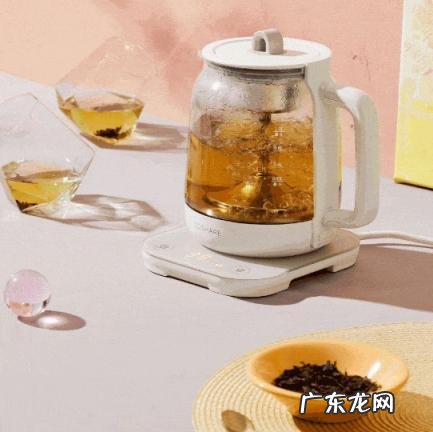 养生壶烧水怎么样 心想养生煮茶壶怎么样使用