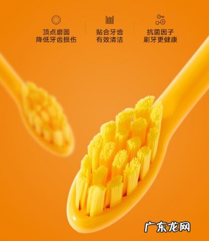 莫勒小黄鸭电动牙刷多少钱 莫勒小黄鸭电动牙刷怎么样