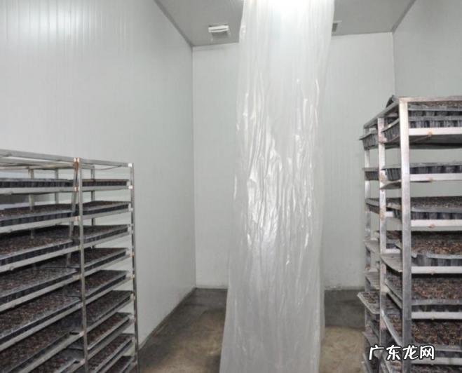 育苗方法详细介绍图片，育苗流程和设施