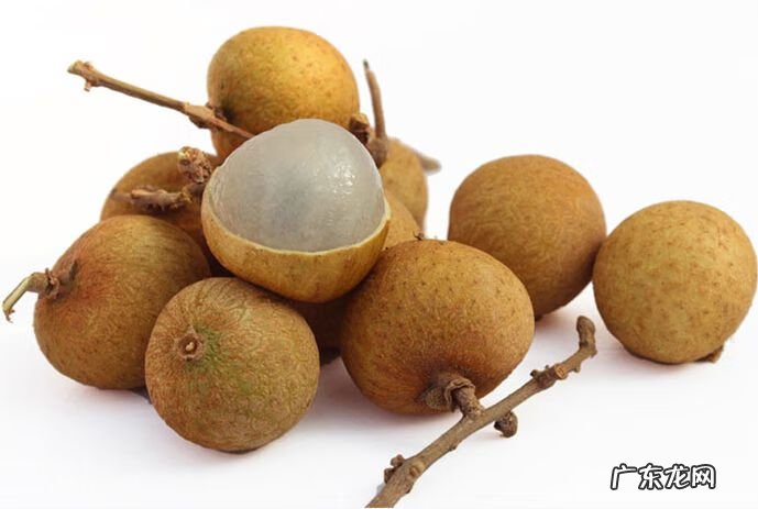 龙眼和桂圆哪个容易上火 新鲜桂圆上火吗