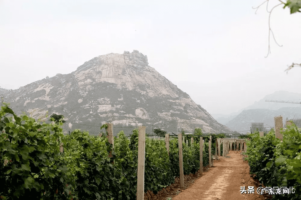 昌黎是谁 昌黎风水宝地