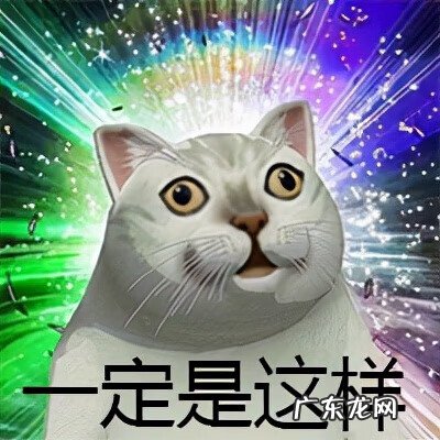 qq飞车有外服吗 qq飞车外服叫什么