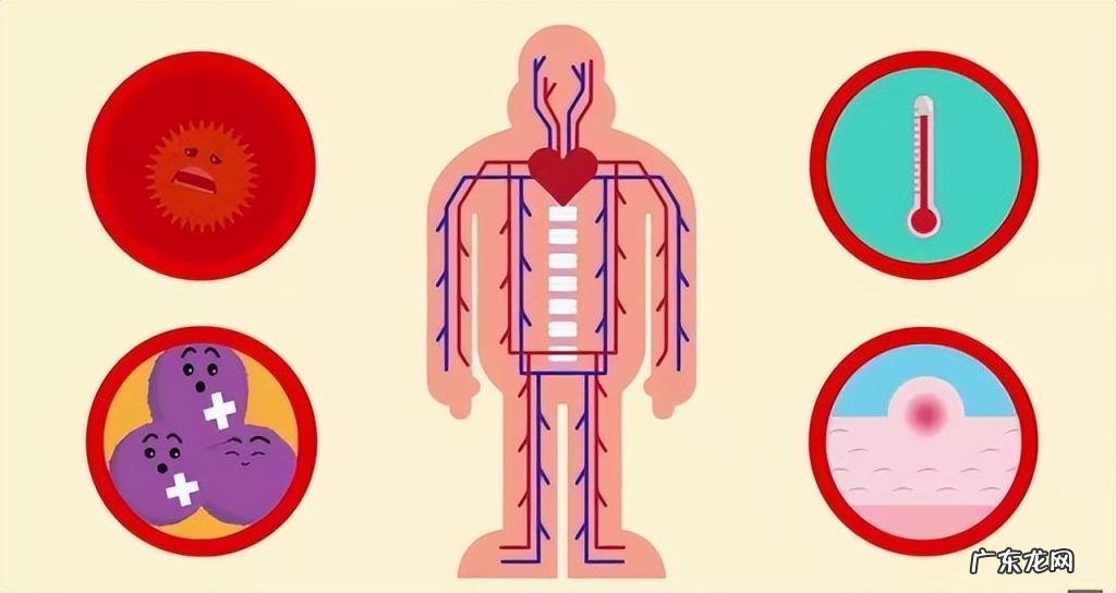 经常感冒的原因有哪些症状 得感冒的原因有哪些