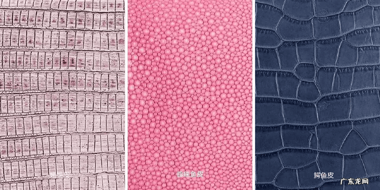 香奈儿最新款包包价格 香奈儿 包包 价格