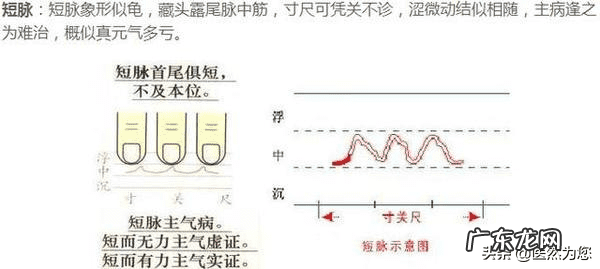 气脉短是什么原因 气脉短什么原因