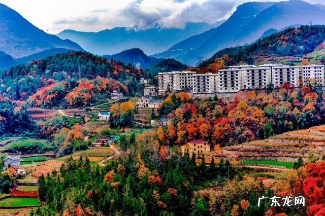 风水官位 赐药木女神官官衣服风水