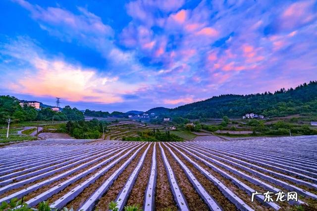 风水官位 赐药木女神官官衣服风水