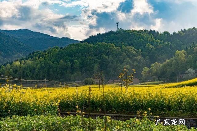 风水官位 赐药木女神官官衣服风水