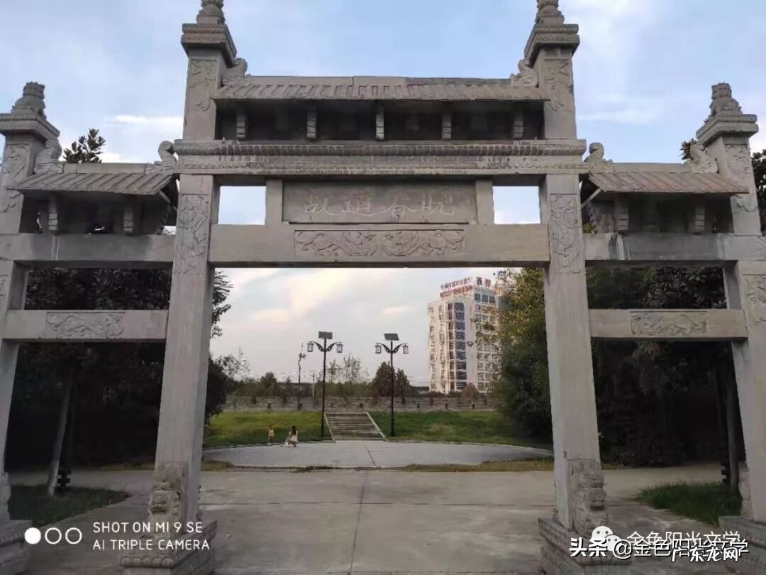 胡蜂公母分别 马蜂 风水