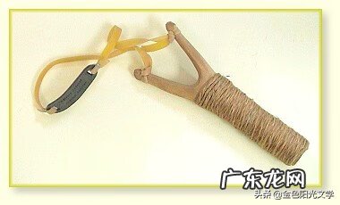 胡蜂公母分别 马蜂 风水