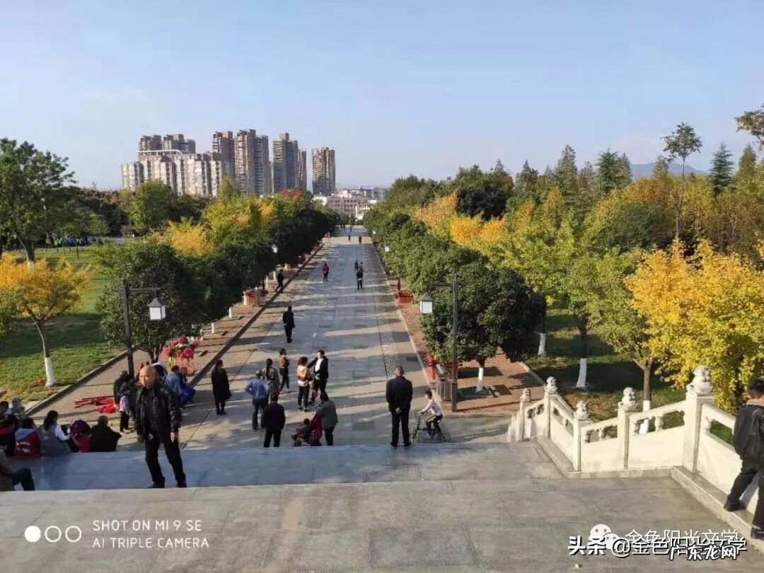 胡蜂公母分别 马蜂 风水