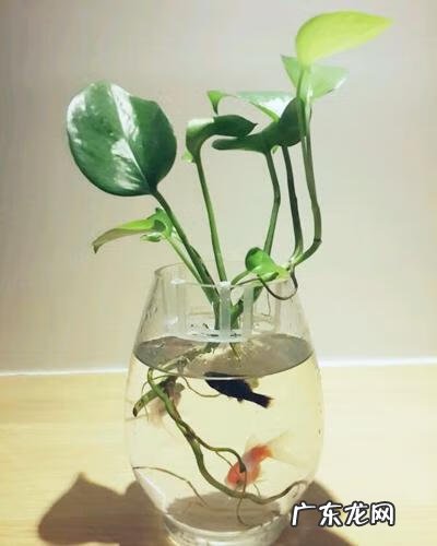 升职风水 升职的风水