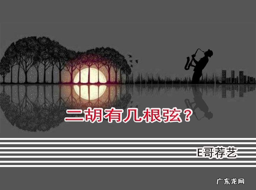 二胡几根弦儿 二胡是一种很奇妙的乐器它的奇妙在于仅有两根弦就能