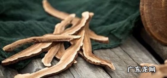 灵芝茶怎么泡 灵芝茶可以经常喝吗