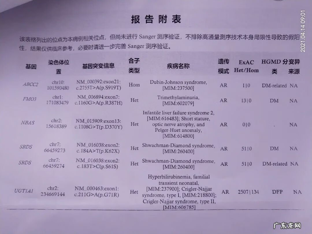 成人先天性溶血性黄疸 先天性非溶血性黄疸的特点