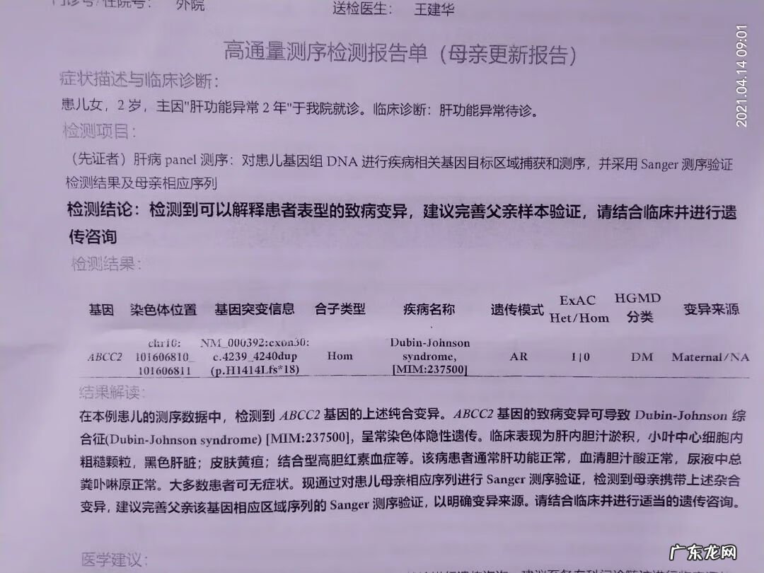 成人先天性溶血性黄疸 先天性非溶血性黄疸的特点