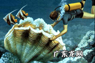 珠海渔女离横琴有多远 珠海渔女的珍珠是真的吗