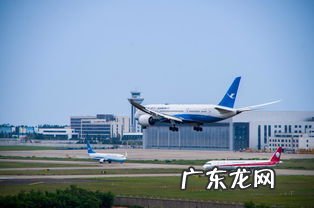 网络用语飞机场是啥意思 飞机场是什么意思女生