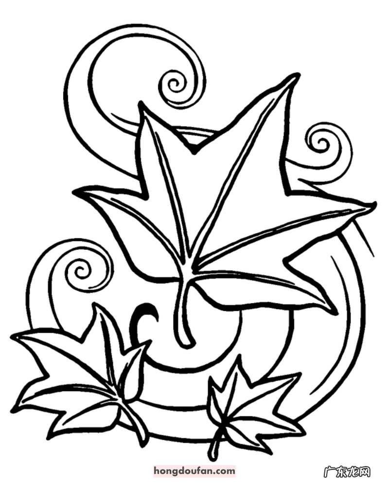 秋天的一幅图画作文 秋天的图画作文二年级